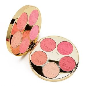 Tarte Color Wheel Amazonian Clay Blush Palette